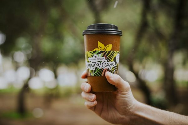 gayo sumatra gayo sumatra